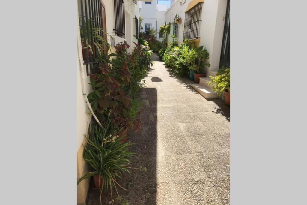 Apartamento Con Azotea Privada Para Parejas Y Familias Conil De La Frontera Buitenkant foto